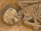 Archeologové Slezského zemského muzea odkryli unikátní nález