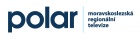 logo polar