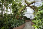 Greenhouse exhibition of tropical and subtropical plants