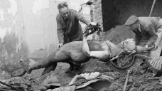 Severomoravské a slezské muzejnictví po druhé světové válce