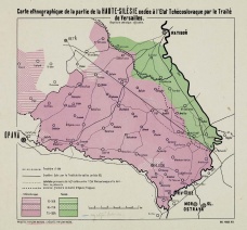 Mezinárodní konference 