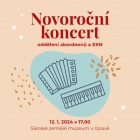 Novoroční koncert žáků ZUŠ