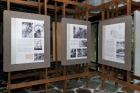 První skleníková expozice v Arboretu Nový Dvůr