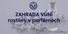 Zahrada vůní - rostliny v parfémech