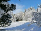 Sněhová nadílka v Arboretu Nový Dvůr 2021