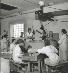 Opavia _ 1962