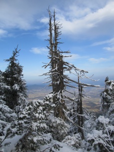 Panorama ze Smrku