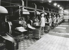 Opavia _ 1973