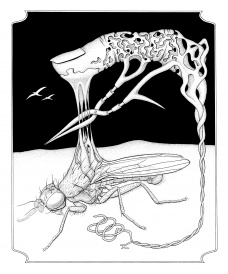 Mouchy a surrealismus