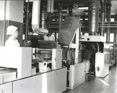 Opavia _ 1989