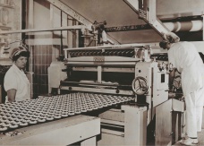 Opavia
