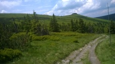 Příroda