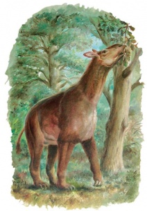 Třetihory – kraj močálů a moře